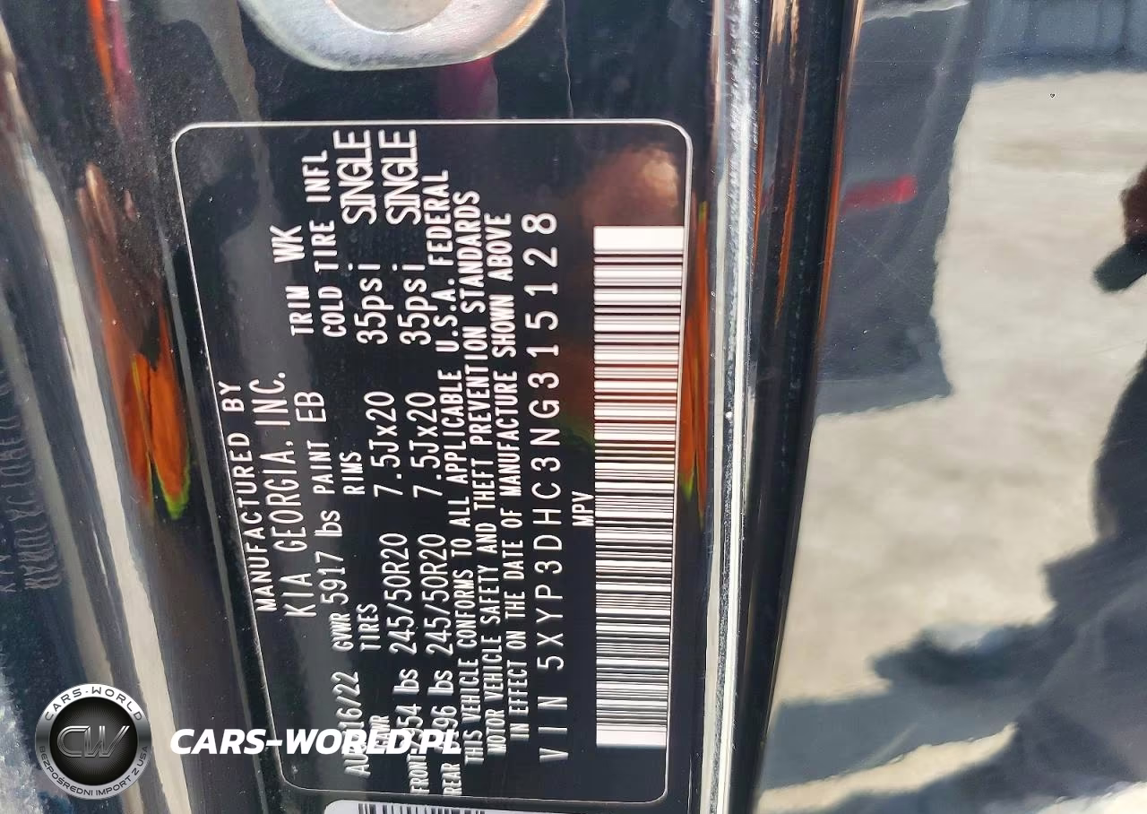 2022 Kia Telluride Ex VIN:5XYP3DHC3NG315128 - 13