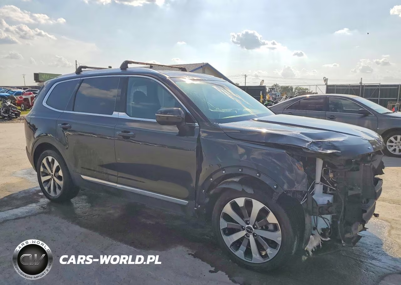 2022 Kia Telluride Ex VIN:5XYP3DHC3NG315128 - 4