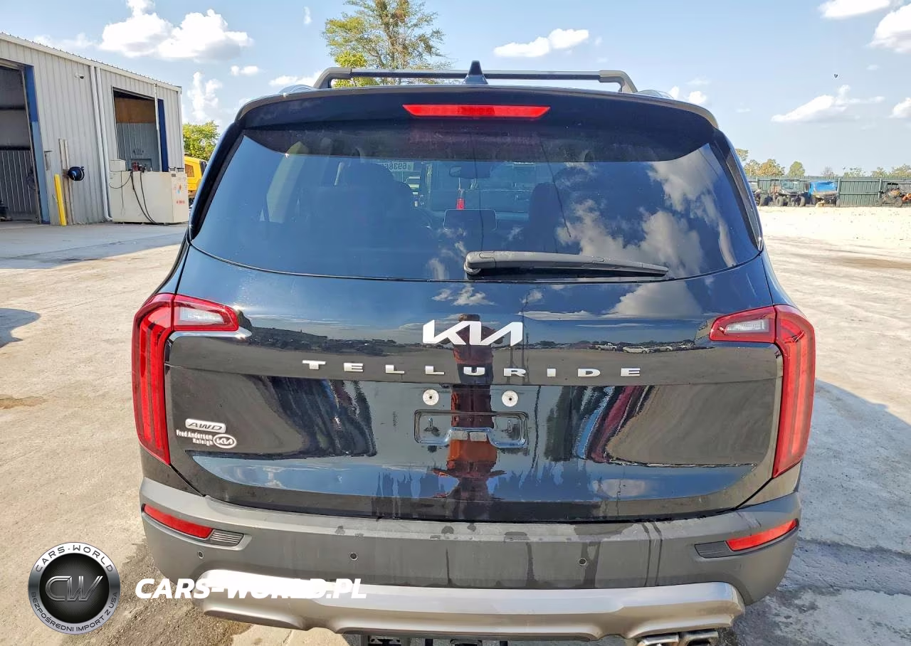 2022 Kia Telluride Ex VIN:5XYP3DHC3NG315128 - 6