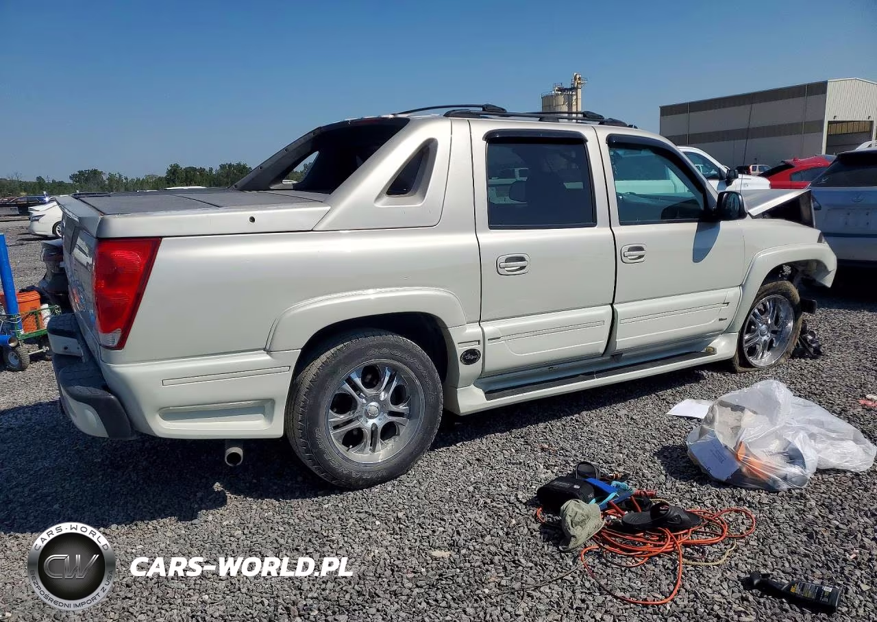 2005 Chevrolet Avalanche K1500 VIN:3GNEK12ZX5G212979 - 3
