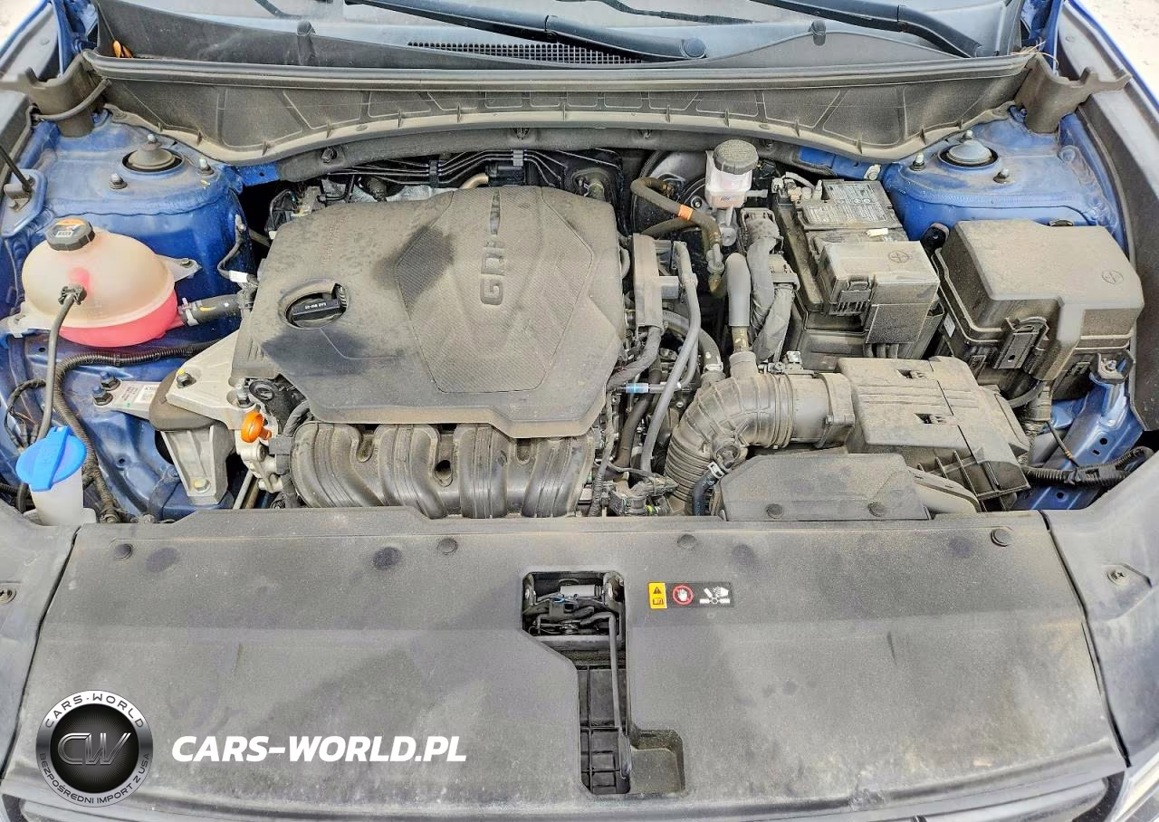 2024 Hyundai Tucson Sel VIN:5NMJBCDEXRH330117 - 12