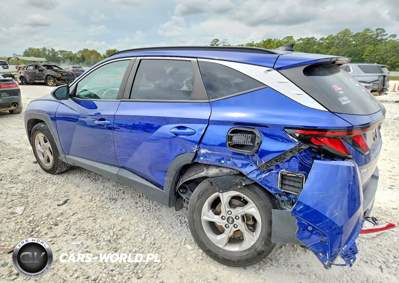 2024 Hyundai Tucson Sel VIN:5NMJBCDEXRH330117 - 2