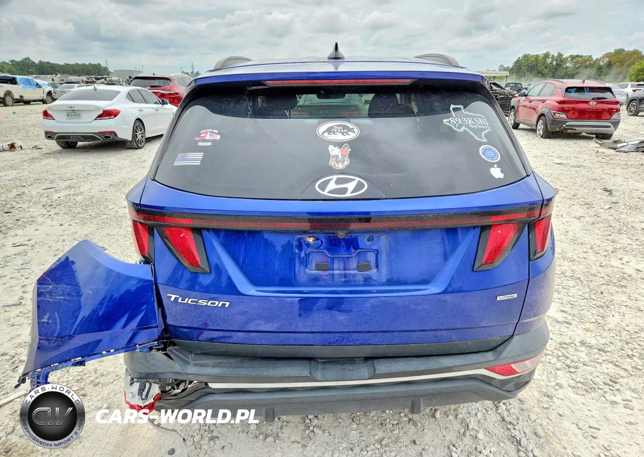 2024 Hyundai Tucson Sel VIN:5NMJBCDEXRH330117 - 6