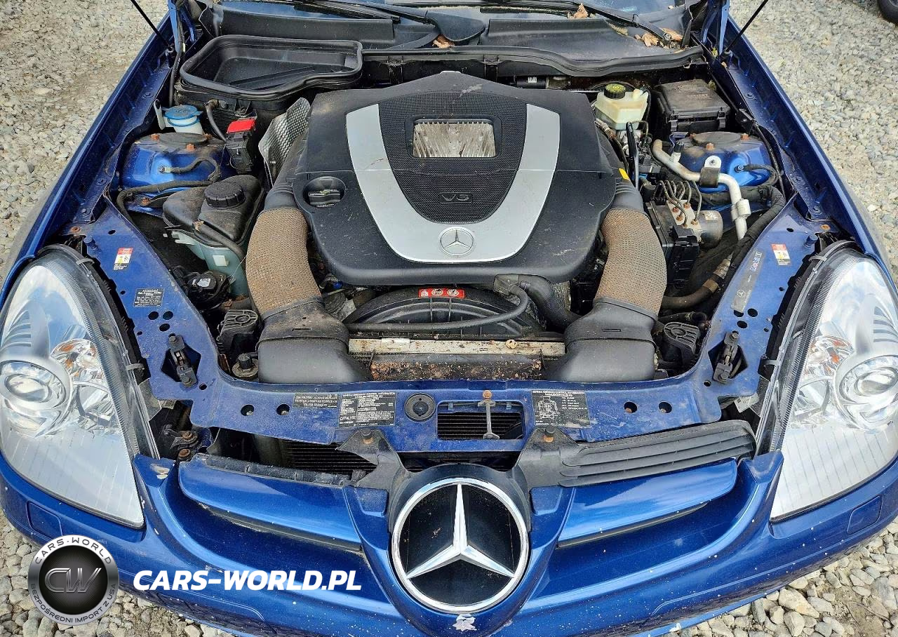 2005 Mercedes-Benz Slk 350 VIN:WDBWK56FX5F046399 - 11