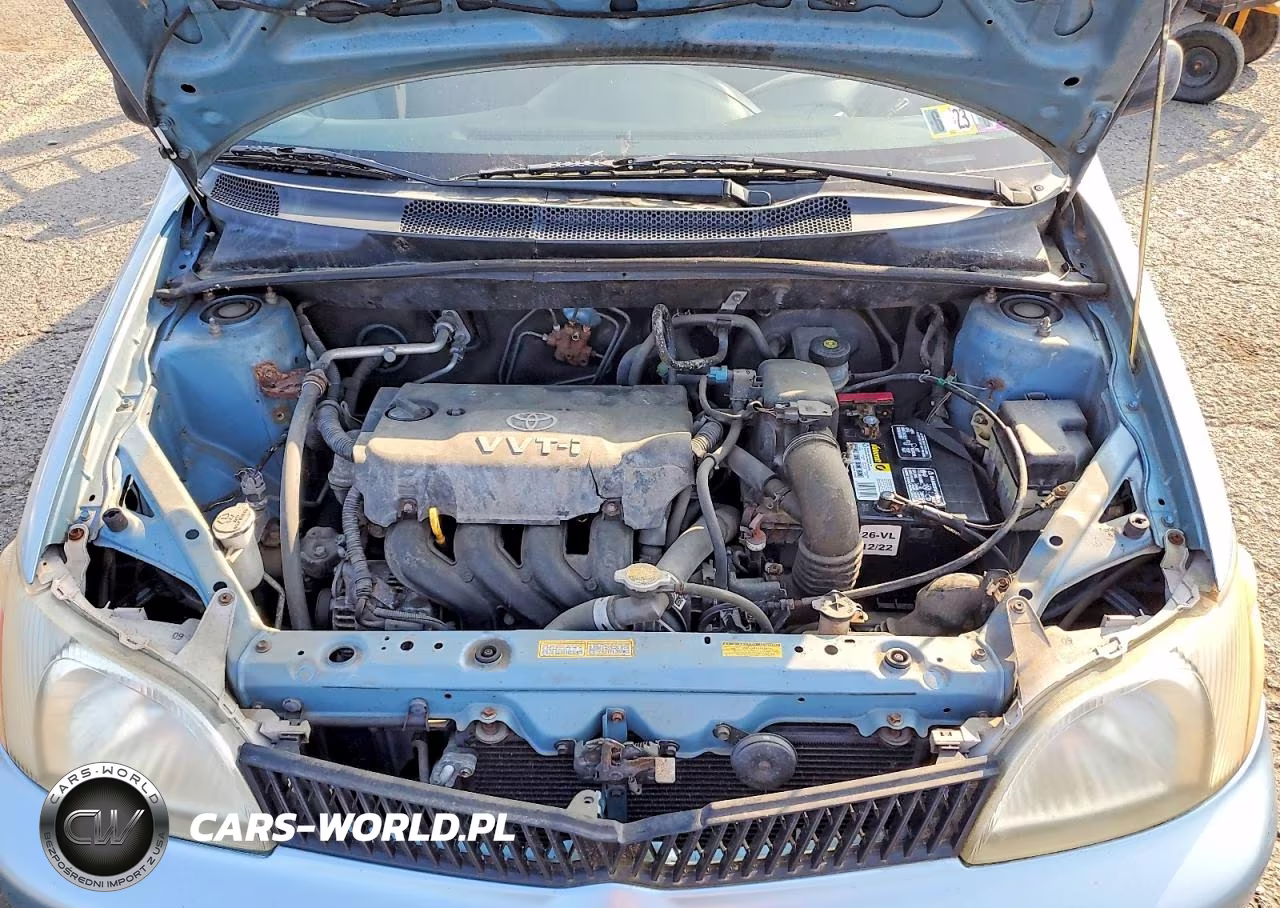 2002 Toyota Echo Base VIN:JTDBT123520220072 - 11