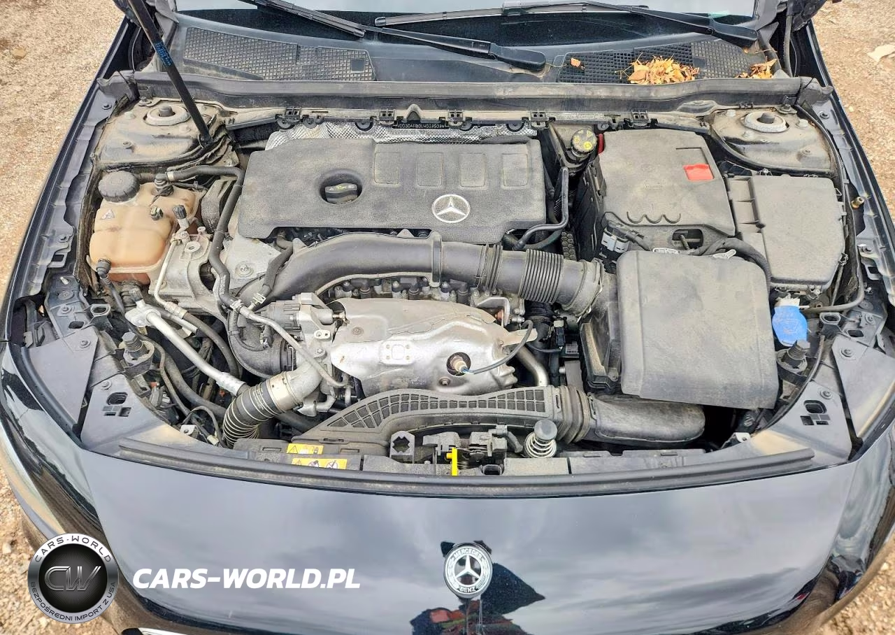 2020 Mercedes-Benz A 220 4Matic VIN:WDD3G4FB0LW039509 - 11