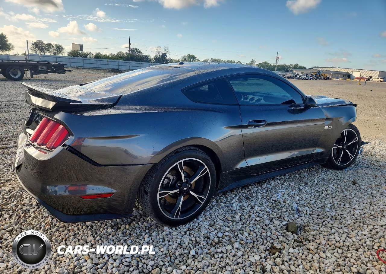 2017 Ford Mustang Gt VIN:1FA6P8CF4H5239298 - 3
