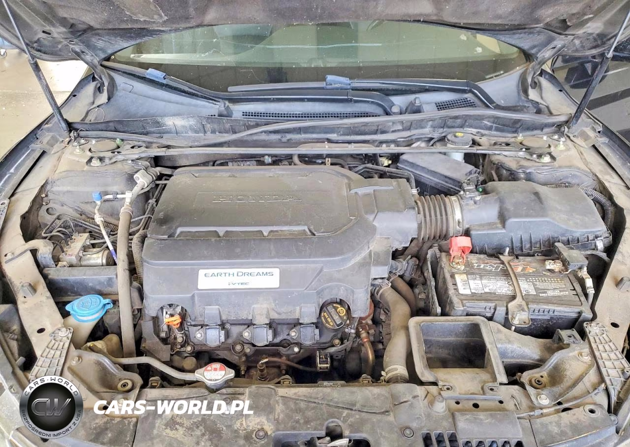 2013 Honda Accord Exl VIN:1HGCR3F87DA047318 - 11
