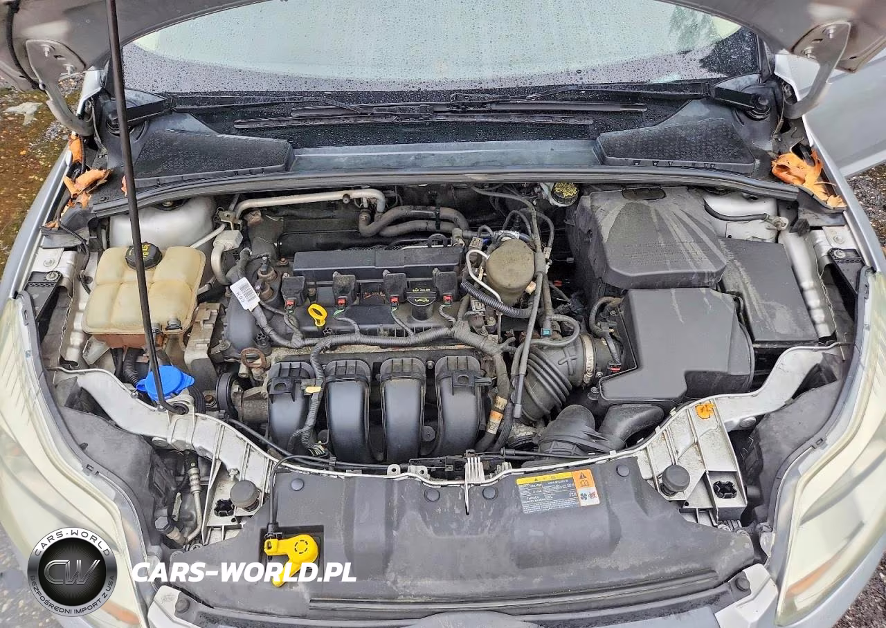 2014 Ford Focus Se VIN:1FADP3K2XEL189233 - 11