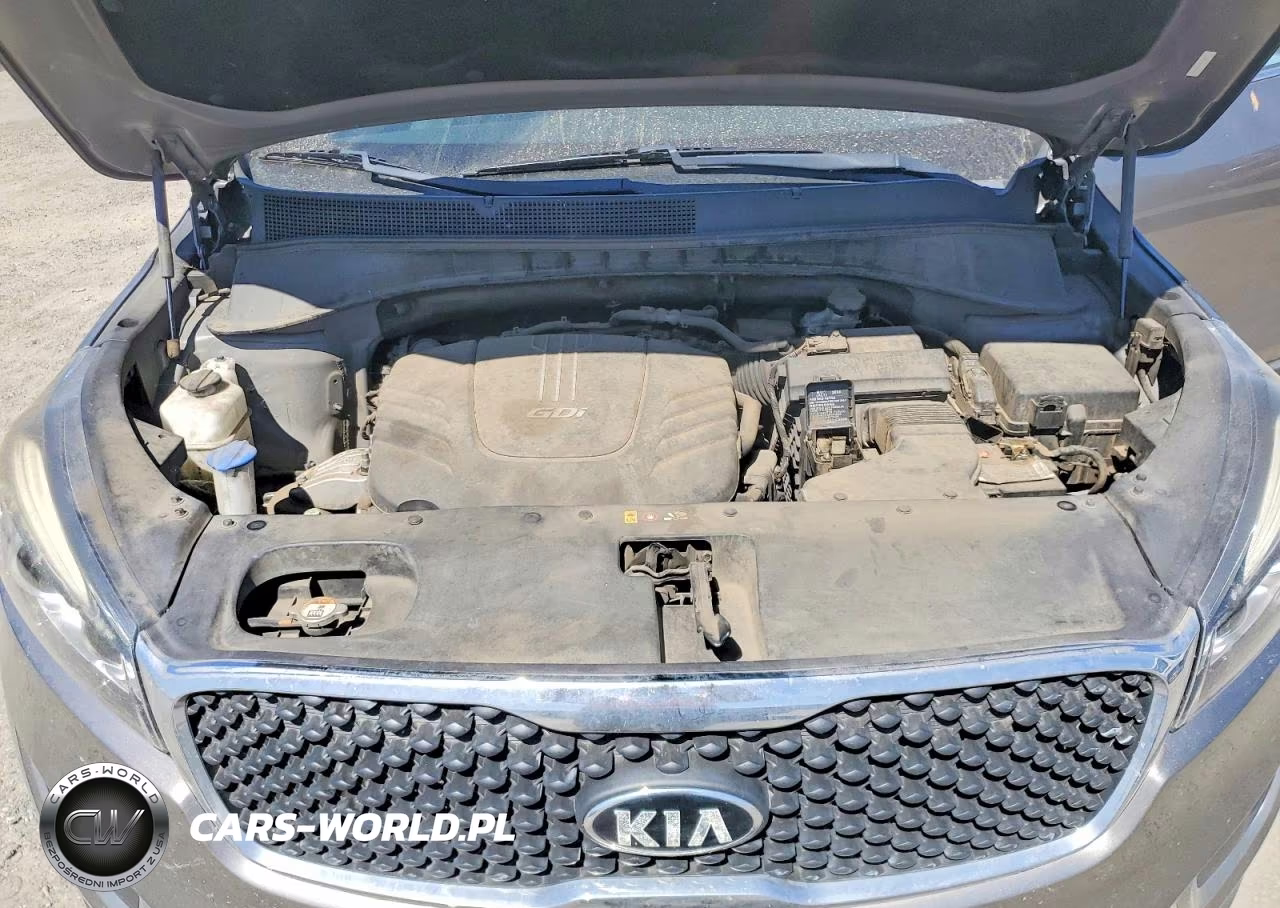 2017 Kia Sorento Lx V6 VIN:5XYPGDA51HG227652 - 12