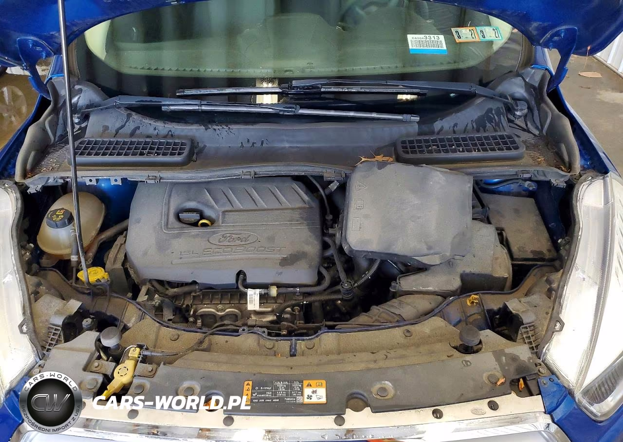 2019 Ford Escape Se VIN:1FMCU0GD7KUA93441 - 12