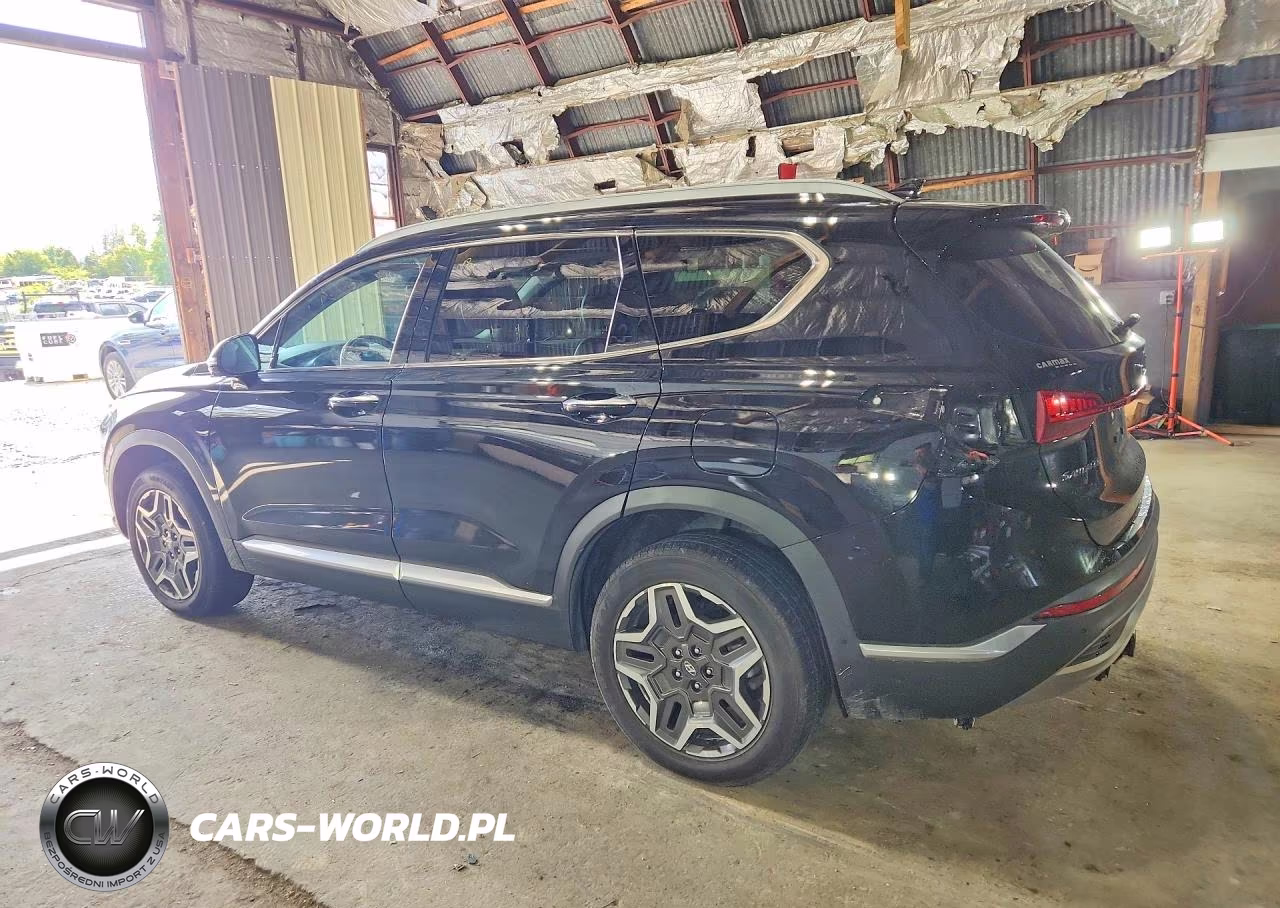 2023 Hyundai Santa Fe Limited VIN:5NMS4DAL7PH511146 - 2