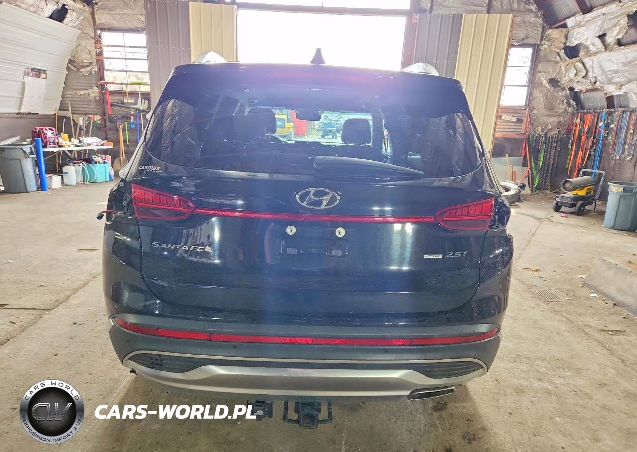 2023 Hyundai Santa Fe Limited VIN:5NMS4DAL7PH511146 - 6