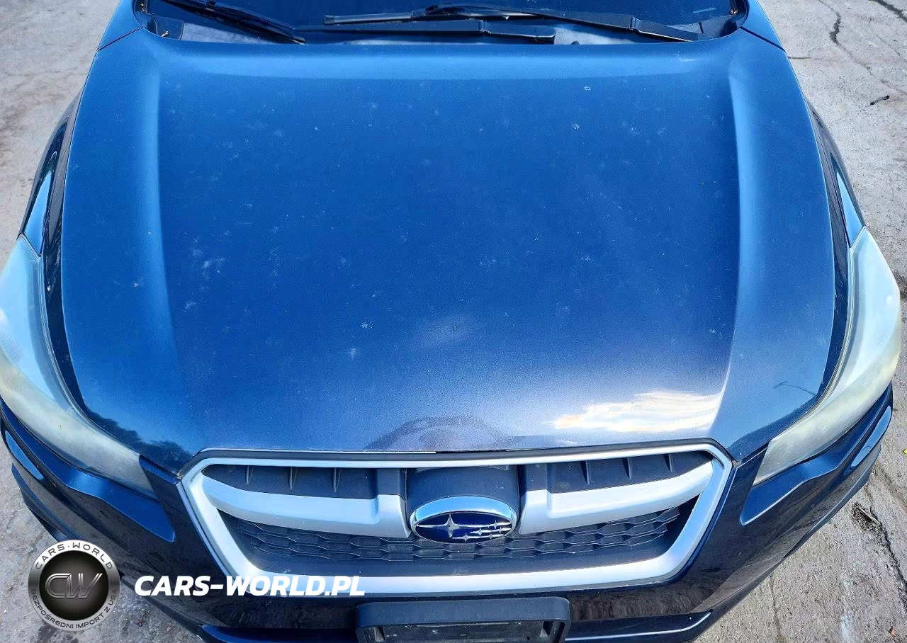 2013 Subaru Impreza Sport Limited VIN:JF1GPAS61D2843271 - 11
