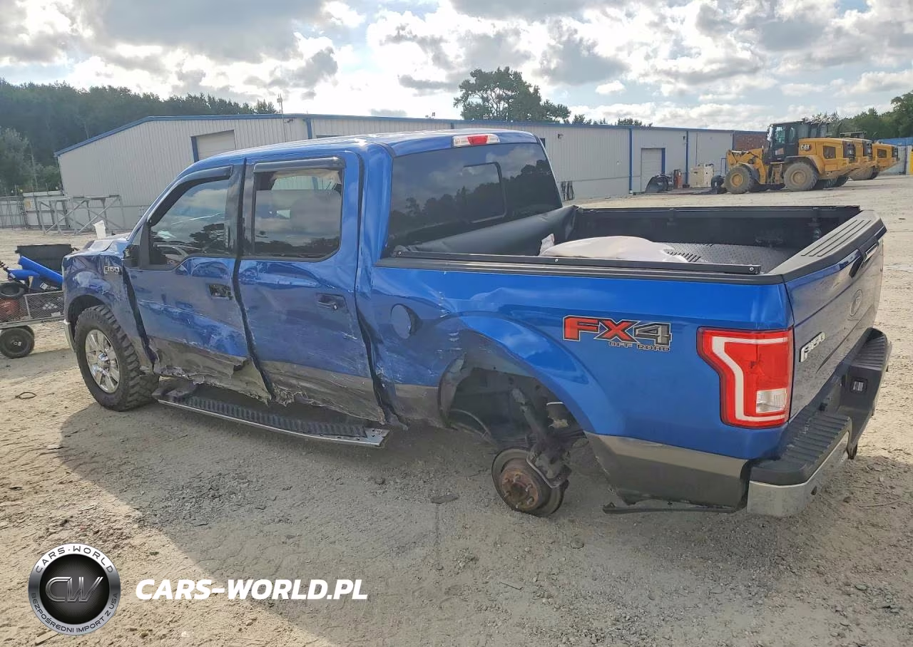 2017 Ford F150 Supercrew VIN:1FTEW1EF8HFA30461 - 2