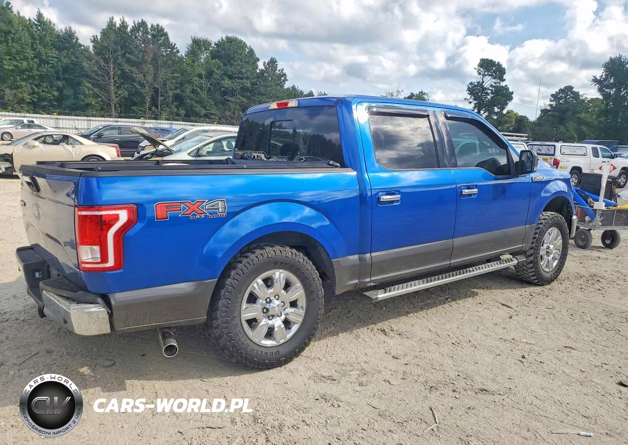 2017 Ford F150 Supercrew VIN:1FTEW1EF8HFA30461 - 3