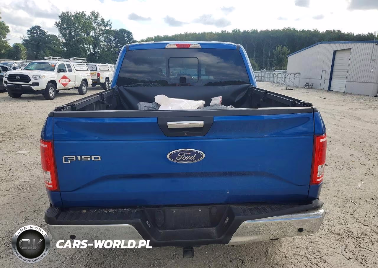 2017 Ford F150 Supercrew VIN:1FTEW1EF8HFA30461 - 6