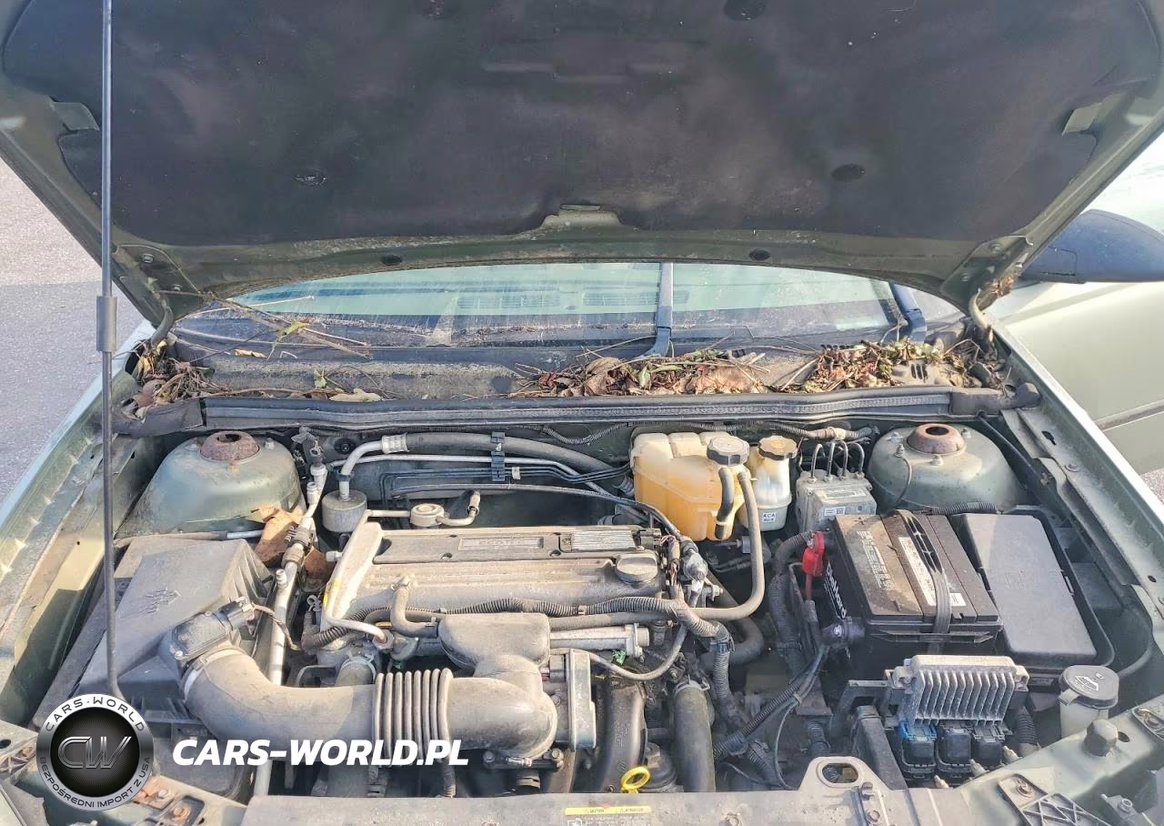 2005 Chevrolet Malibu VIN:1G1ZS54F45F297879 - 11