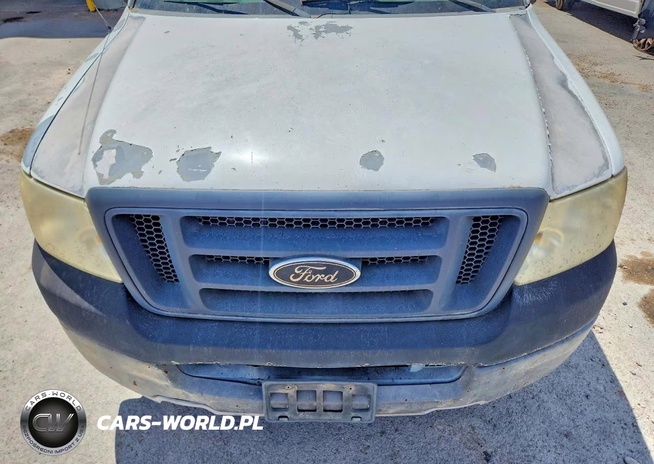 2005 Ford F150 VIN:1FTRF12W45KC01974 - 11
