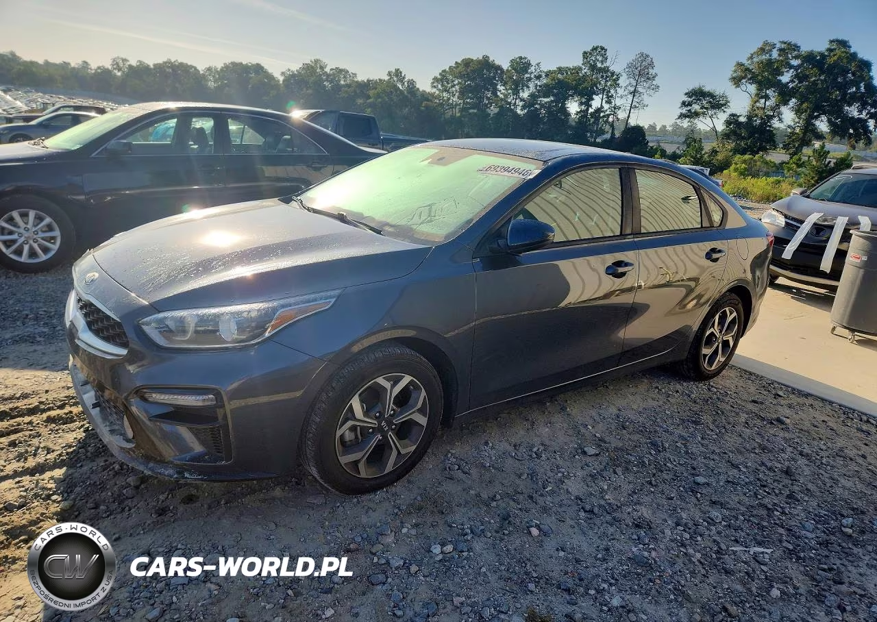 2019 Kia Forte Lxs