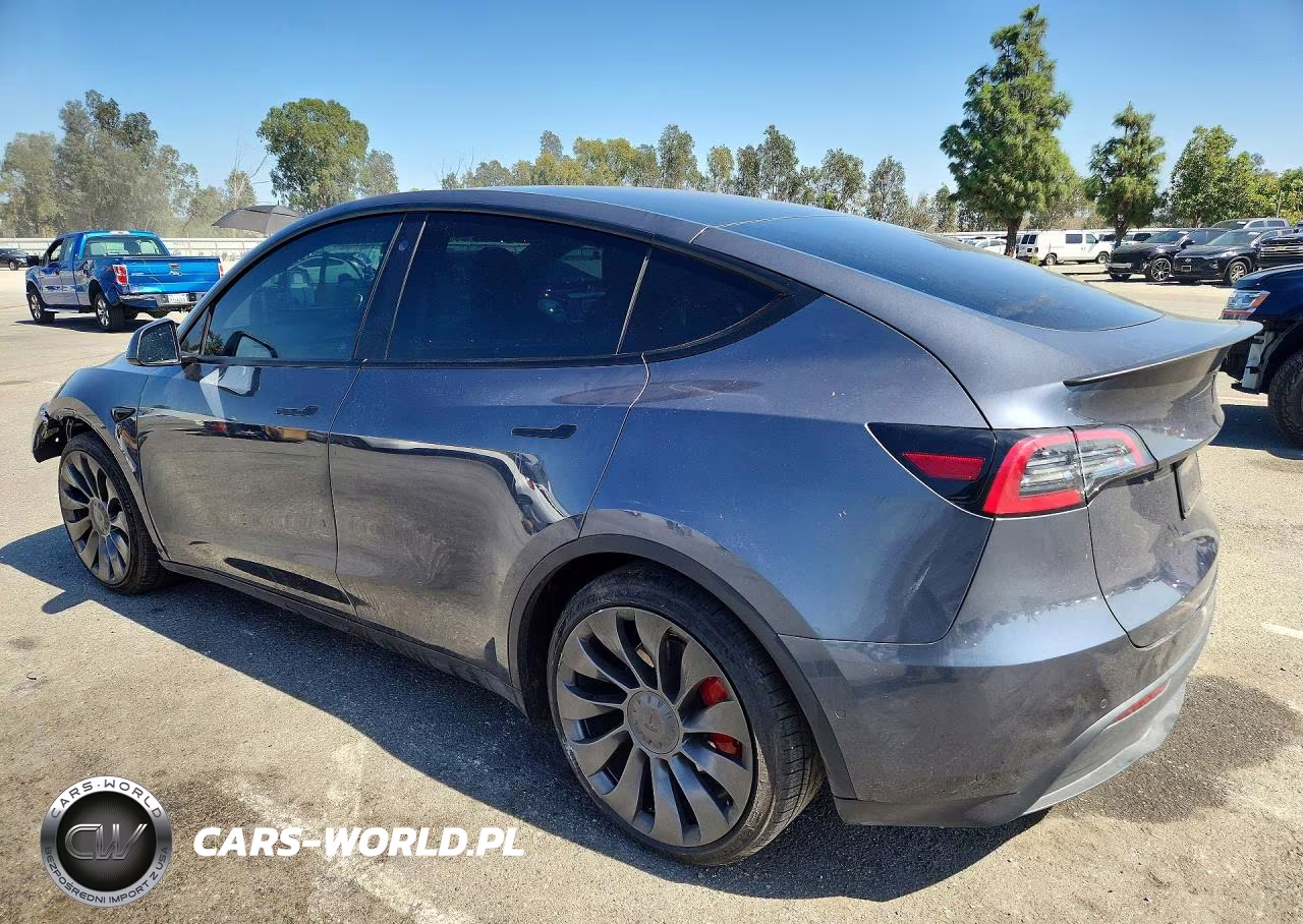 2022 Tesla Model Y VIN:7SAYGDEF8NF439512 - 2