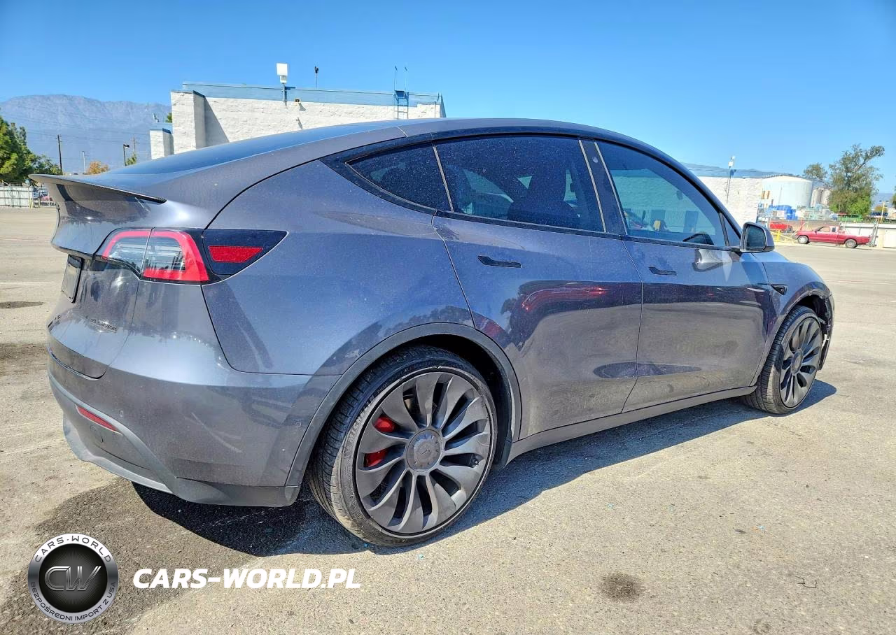 2022 Tesla Model Y VIN:7SAYGDEF8NF439512 - 3