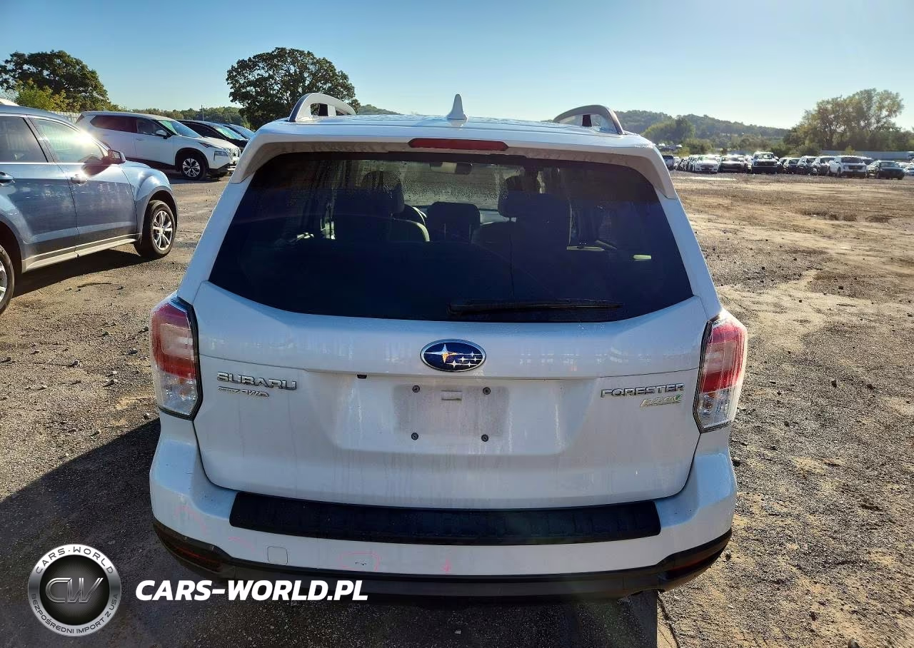 2017 Subaru Forester 2.5I Premium VIN:JF2SJAECXHH489634 - 6