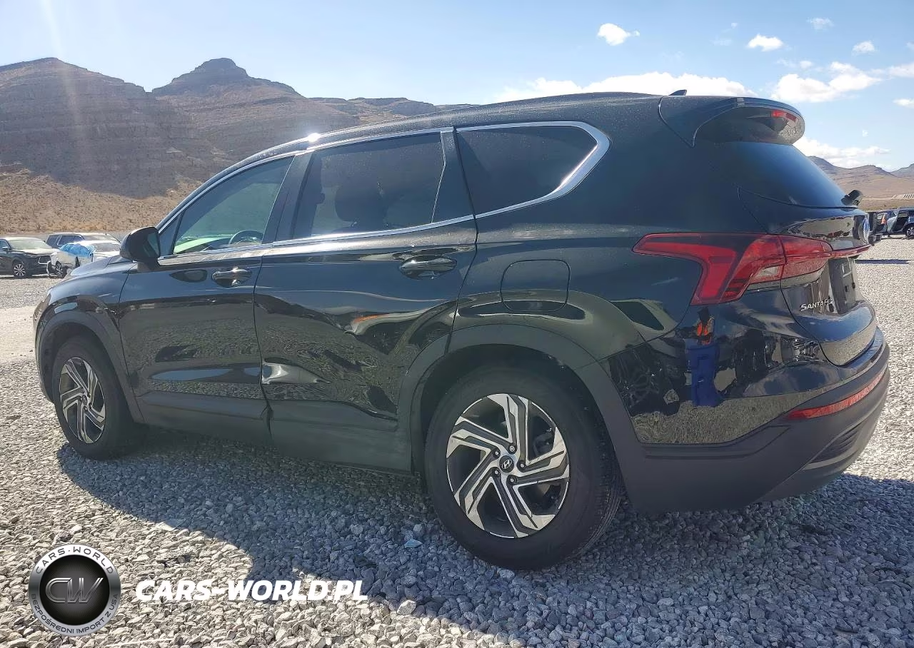 2021 Hyundai Santa Fe Se VIN:5NMS14AJ3MH366058 - 2