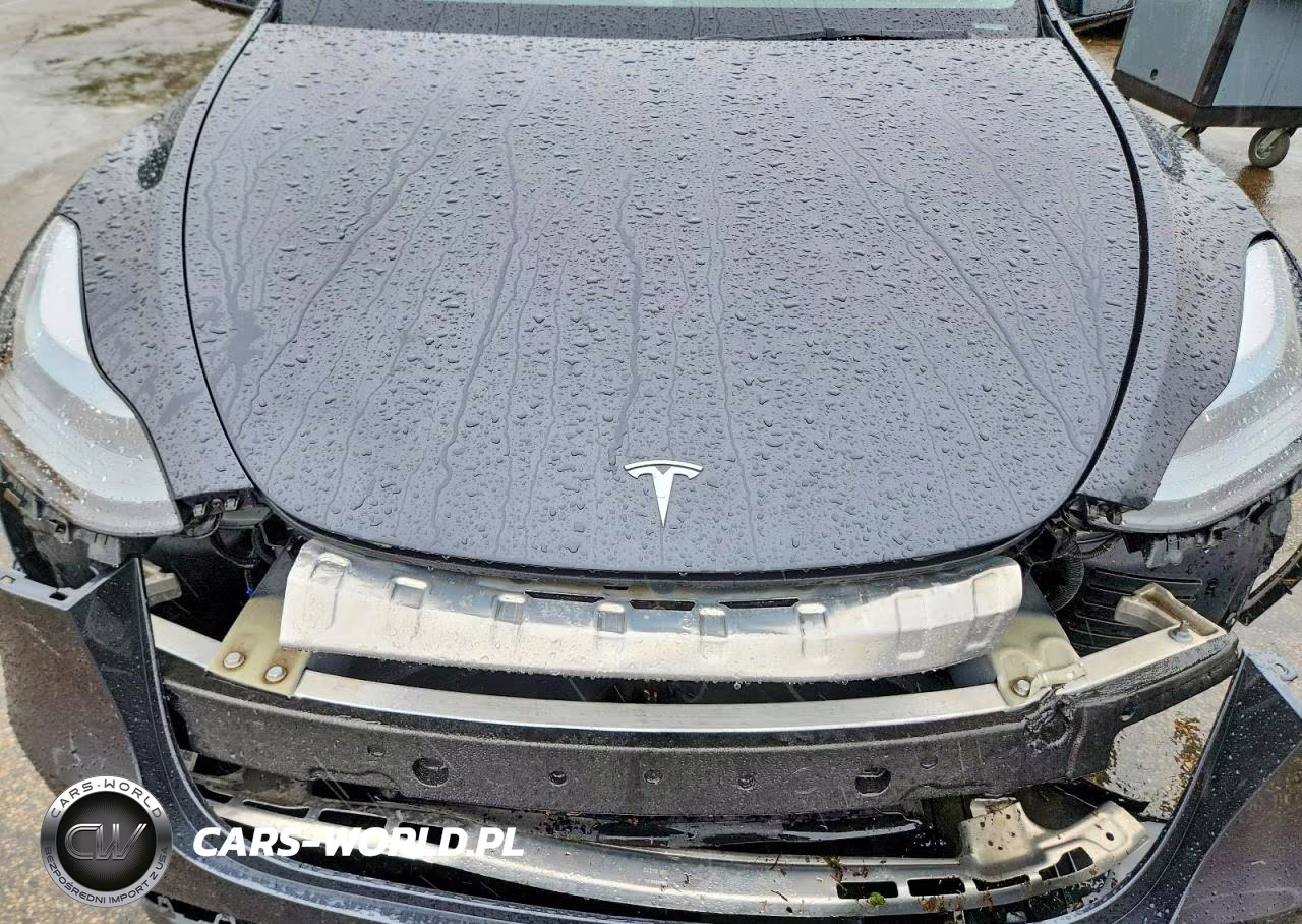 2025 Tesla Model Y VIN:7SAYGDEE5SF262694 - 11