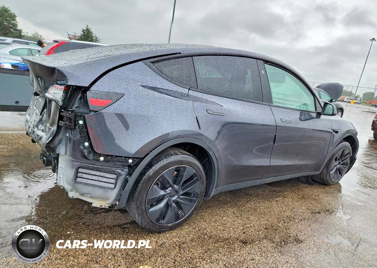 2025 Tesla Model Y VIN:7SAYGDEE5SF262694 - 3