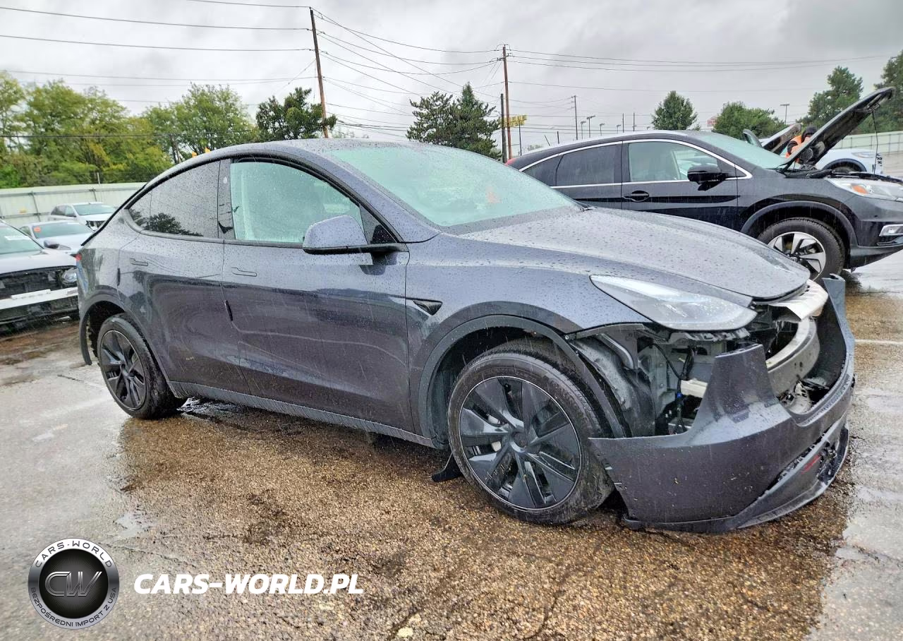 2025 Tesla Model Y VIN:7SAYGDEE5SF262694 - 4
