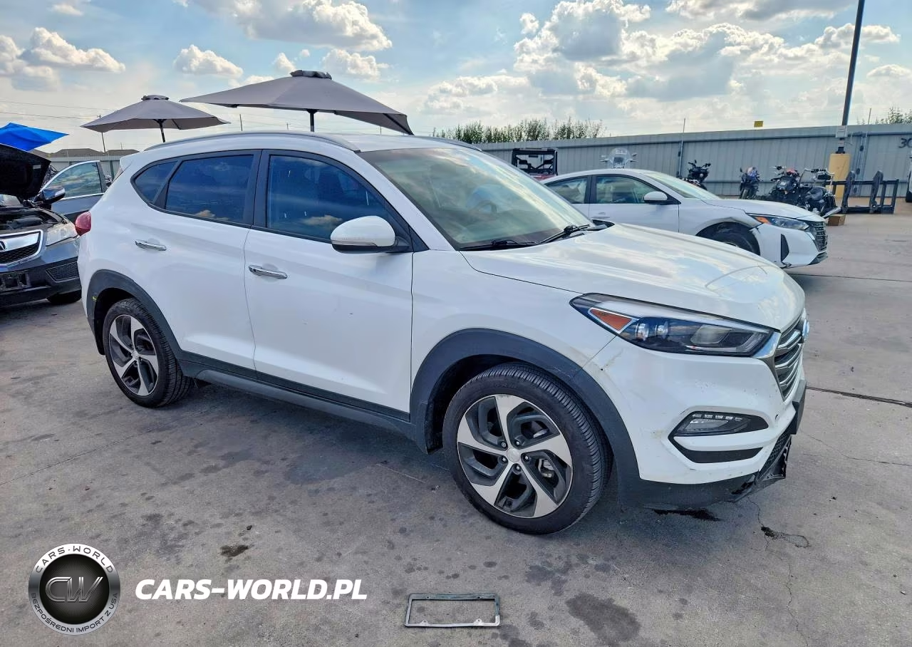 2016 Hyundai Tucson Limited VIN:KM8J33A22GU116683 - 4