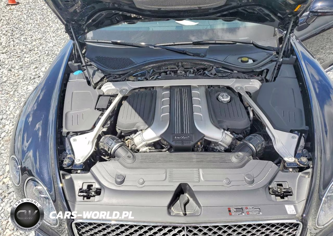 2023 Bentley Continental Gt Mulliner W12-Speed VIN:SCBDT4ZG5PC011507 - 11