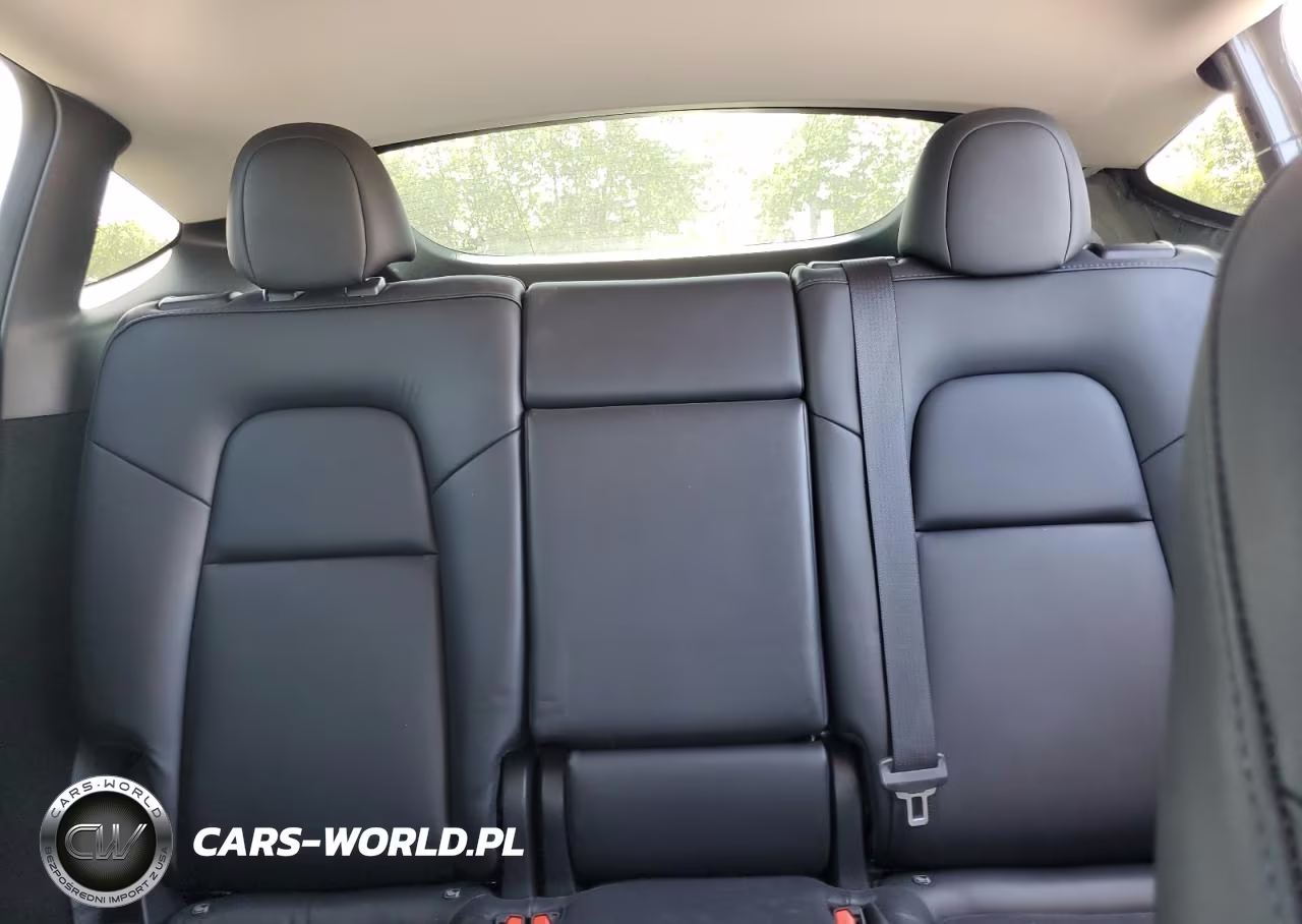 2023 Tesla Model Y VIN:7SAYGDEE1PA192096 - 10