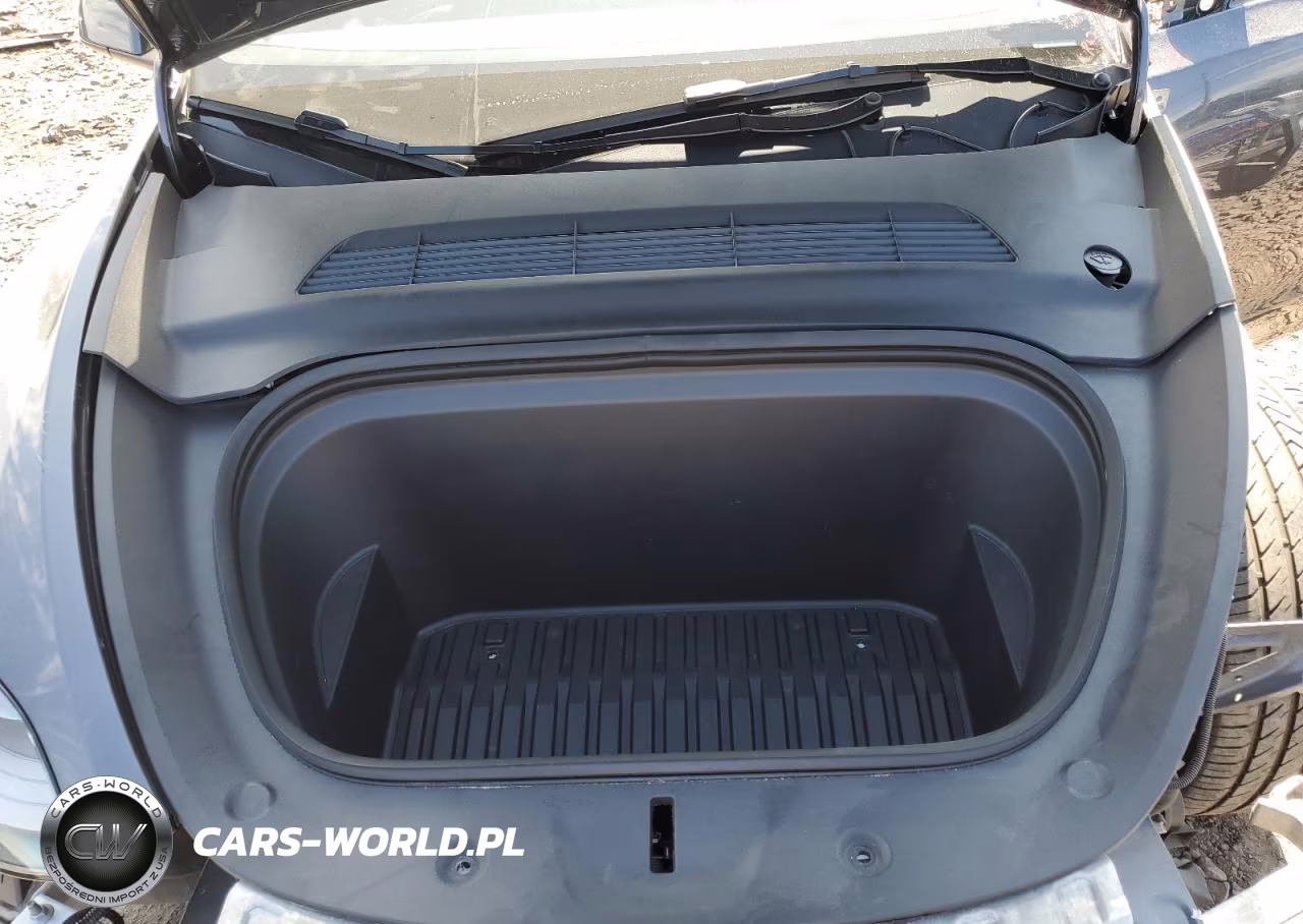2023 Tesla Model Y VIN:7SAYGDEE1PA192096 - 12