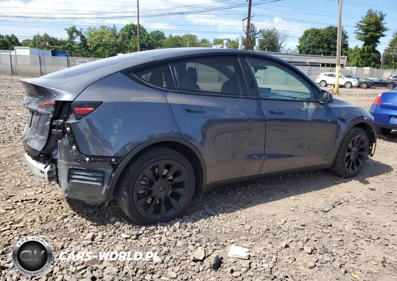 2023 Tesla Model Y VIN:7SAYGDEE1PA192096 - 3