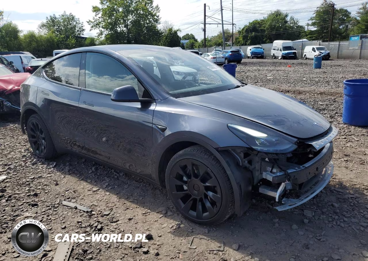 2023 Tesla Model Y VIN:7SAYGDEE1PA192096 - 4