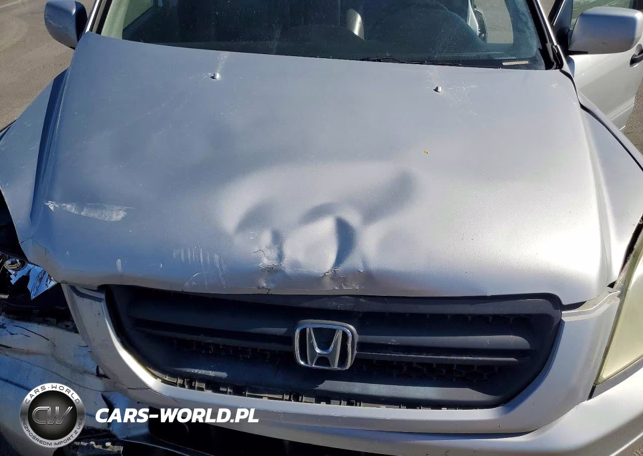 2005 Honda Pilot Exl VIN:2HKYF18595H531330 - 12