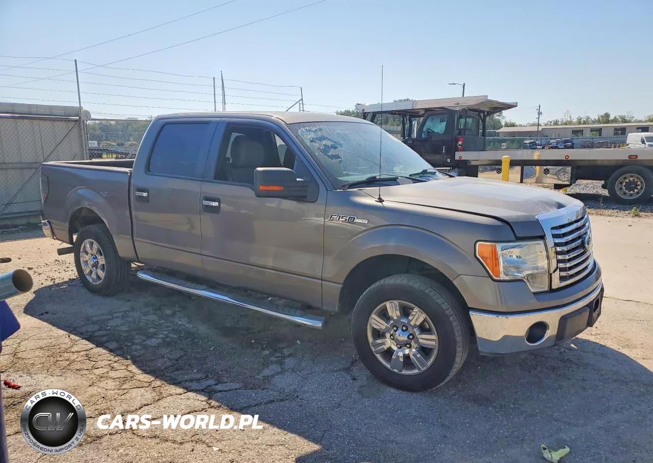 2011 Ford F150 Supercrew VIN:1FTEW1CM4BFC55159 - 4