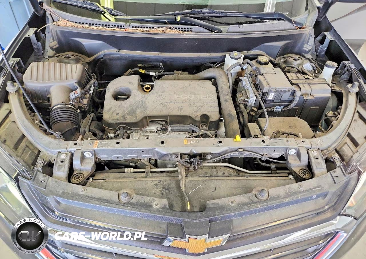 2020 Chevrolet Equinox Ls VIN:3GNAXSEV0LS614762 - 12