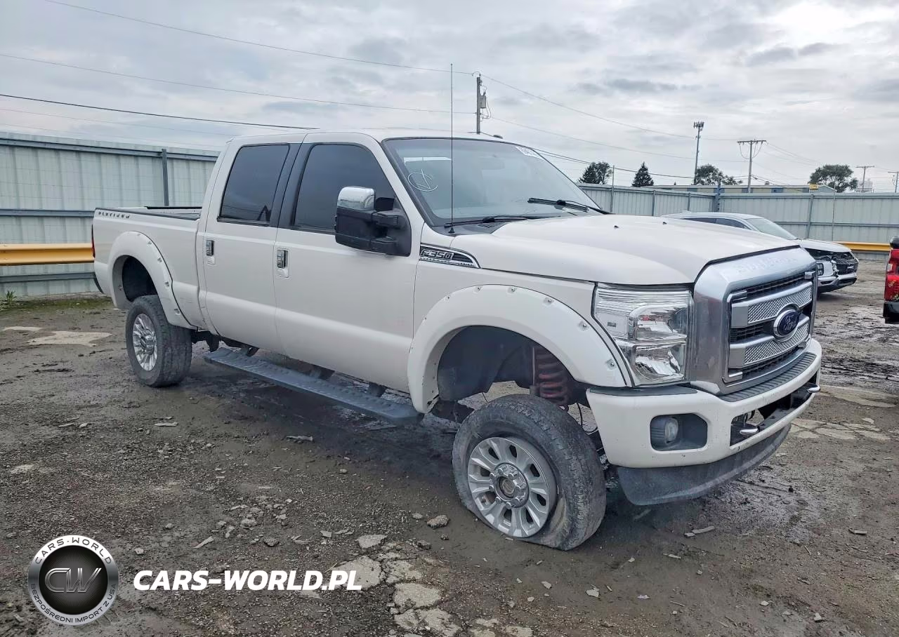 2014 Ford F350 Super Duty VIN:1FT8W3BT4EEA19509 - 4