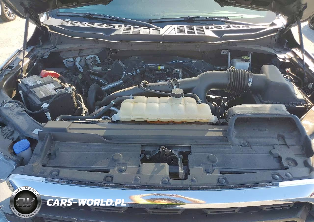2023 Ford F150 Supercrew VIN:1FTEW1CP1PKD61447 - 11