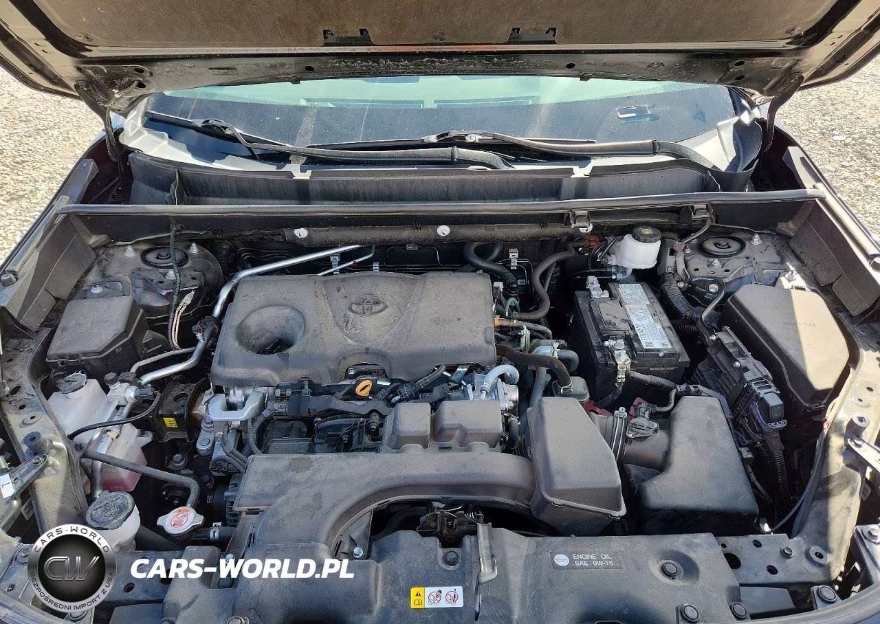 2024 Toyota Rav4 Trd Off Road VIN:2T3S1RFV7RW444238 - 11