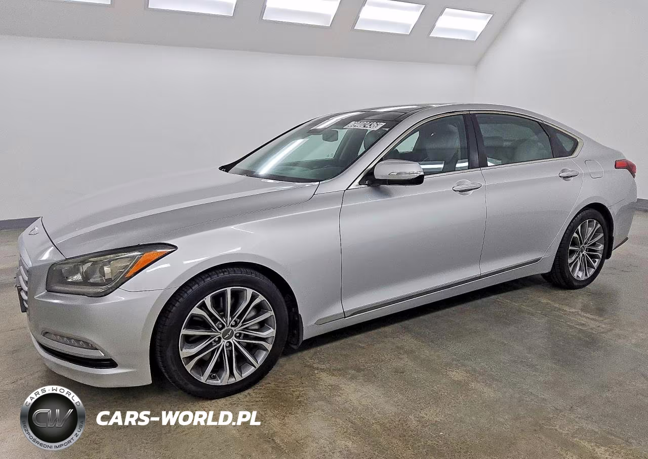 2016 Hyundai Genesis 3.8L VIN:KMHGN4JE3GU141127 - 1