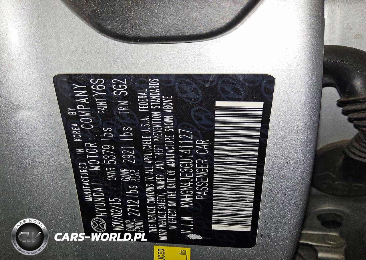 2016 Hyundai Genesis 3.8L VIN:KMHGN4JE3GU141127 - 12