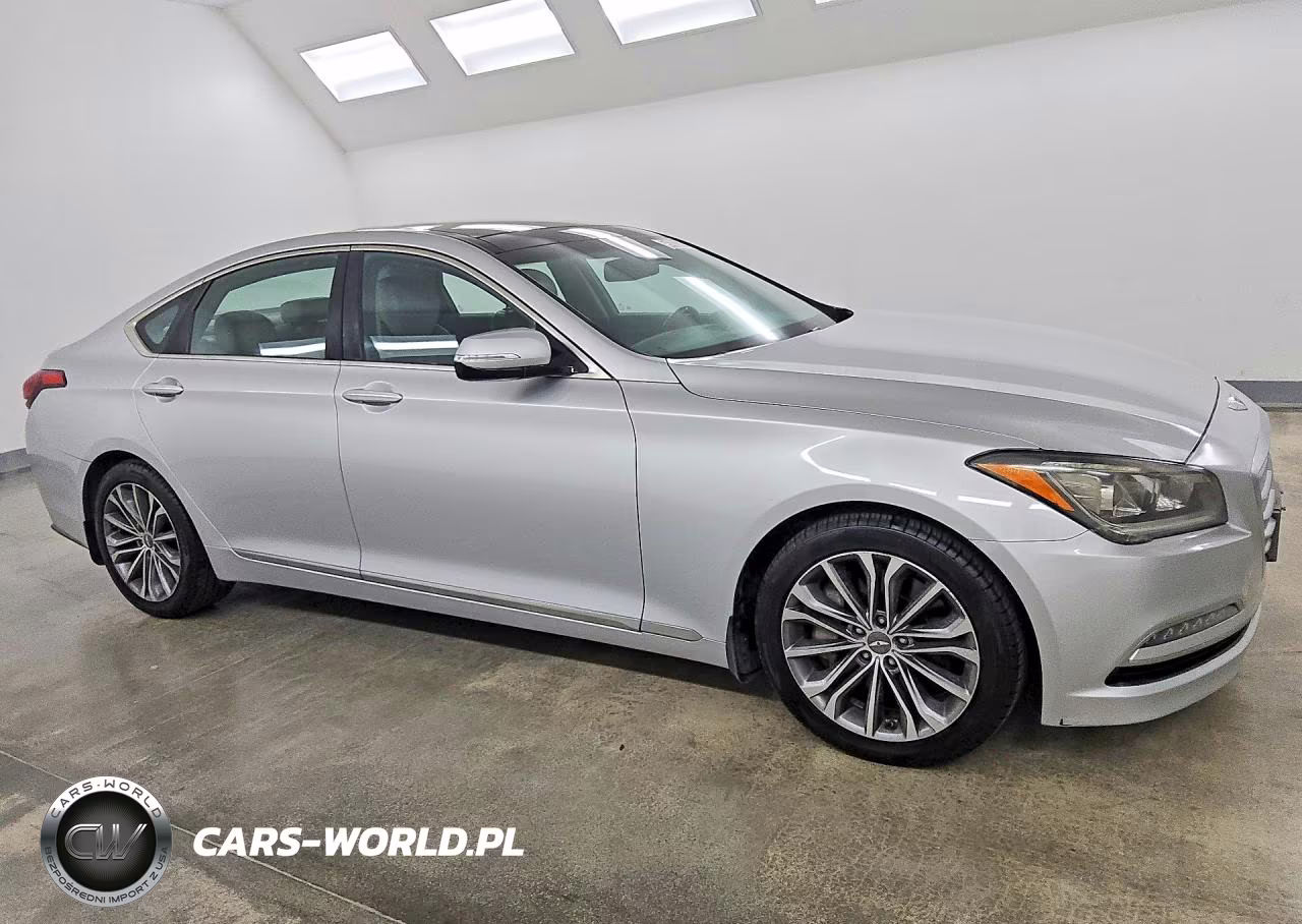 2016 Hyundai Genesis 3.8L VIN:KMHGN4JE3GU141127 - 4