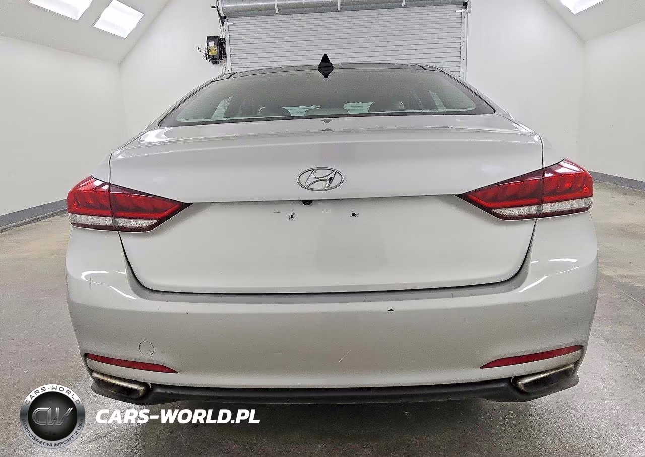 2016 Hyundai Genesis 3.8L VIN:KMHGN4JE3GU141127 - 6