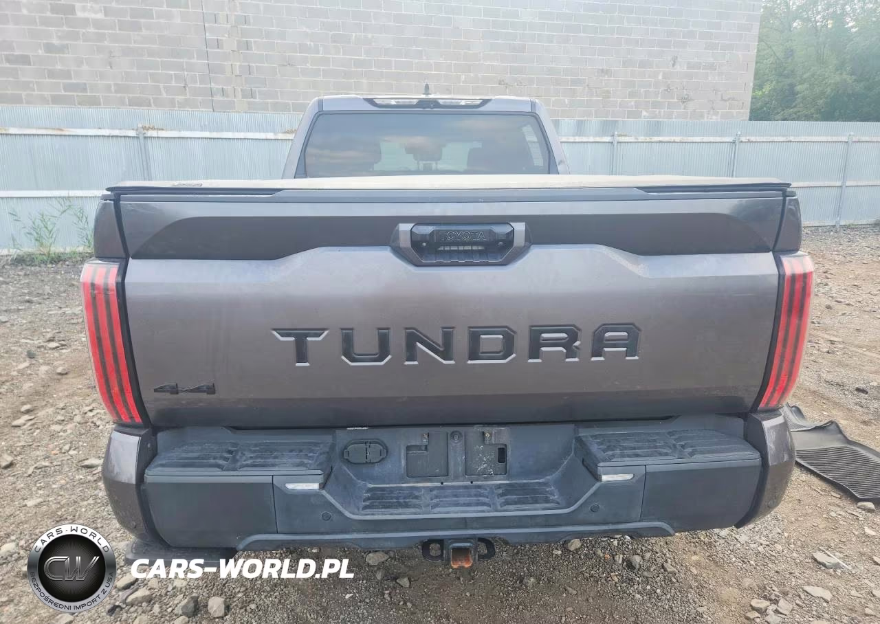 2024 Toyota Tundra Limited VIN:5TFWA5EC1RX033617 - 6
