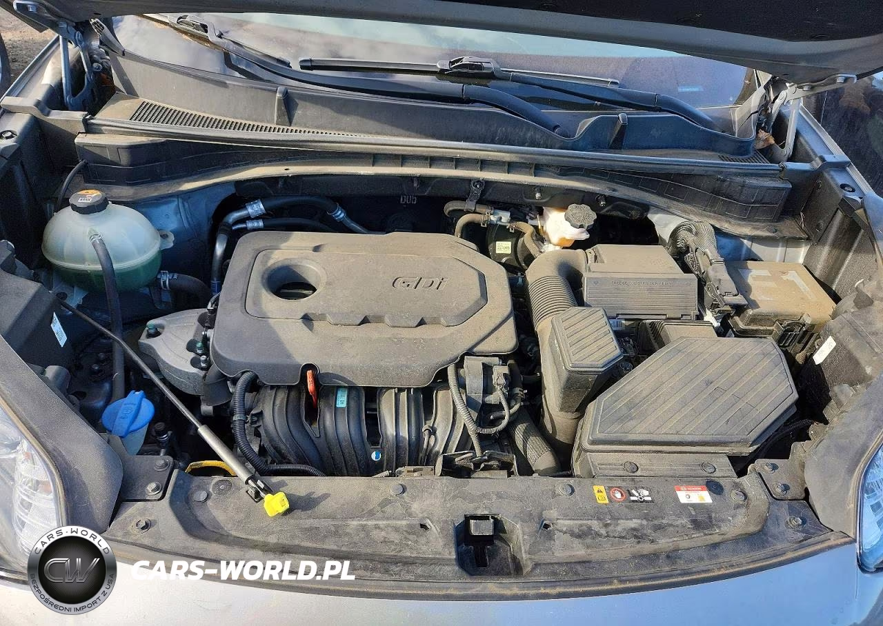 2020 Kia Sportage Lx VIN:KNDPM3AC5L7839974 - 12