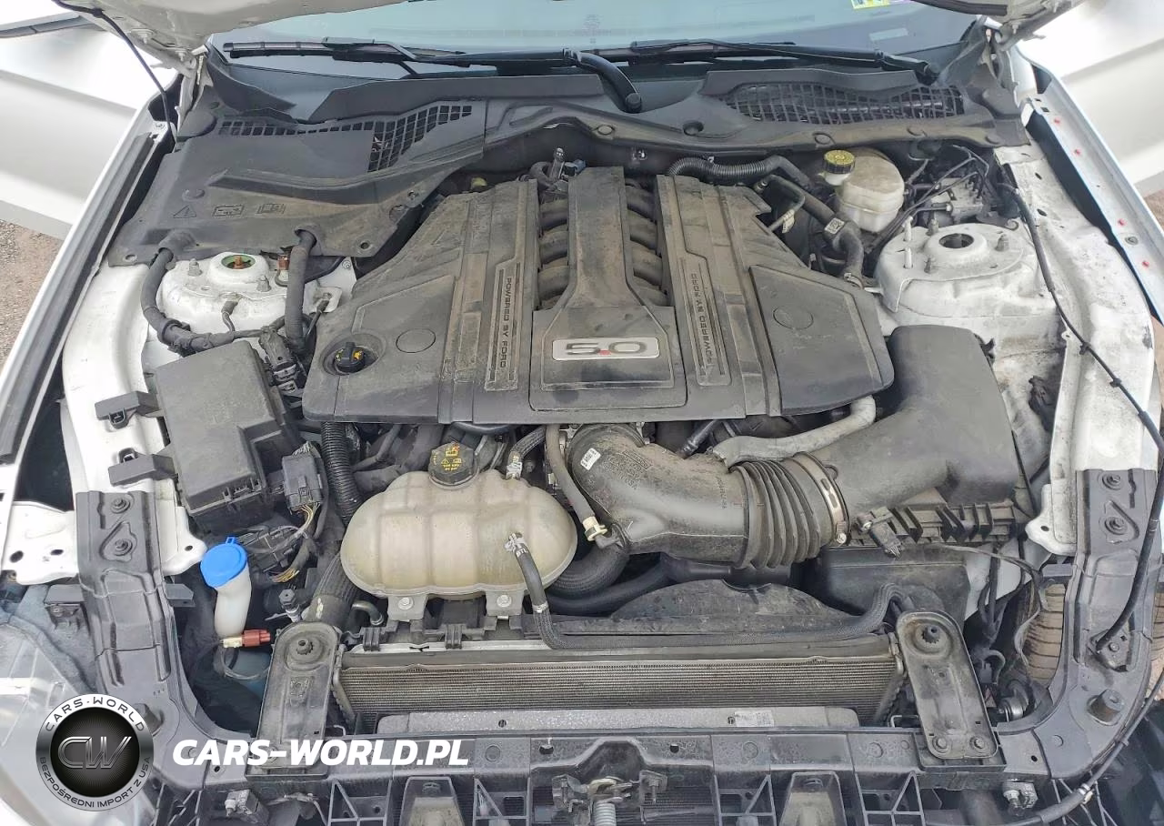 2023 Ford Mustang Gt VIN:1FA6P8CF7P5301520 - 11